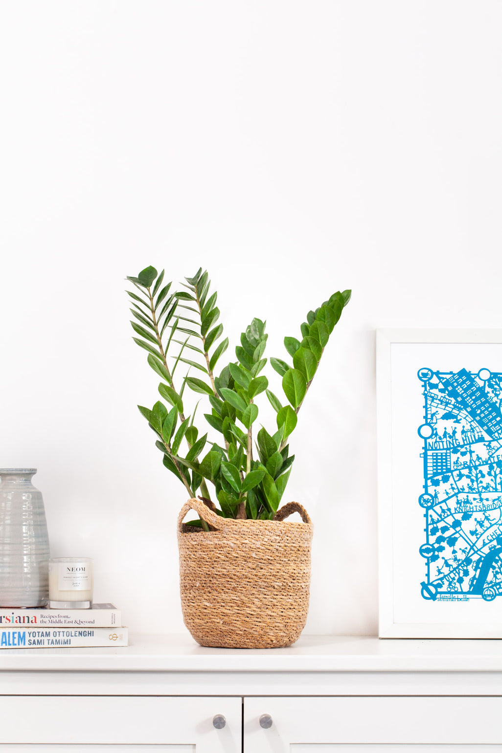 files/IndoorPlants-JamieShots16.11.2023-085.jpg